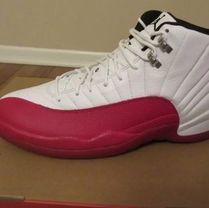 Air Jordan 12